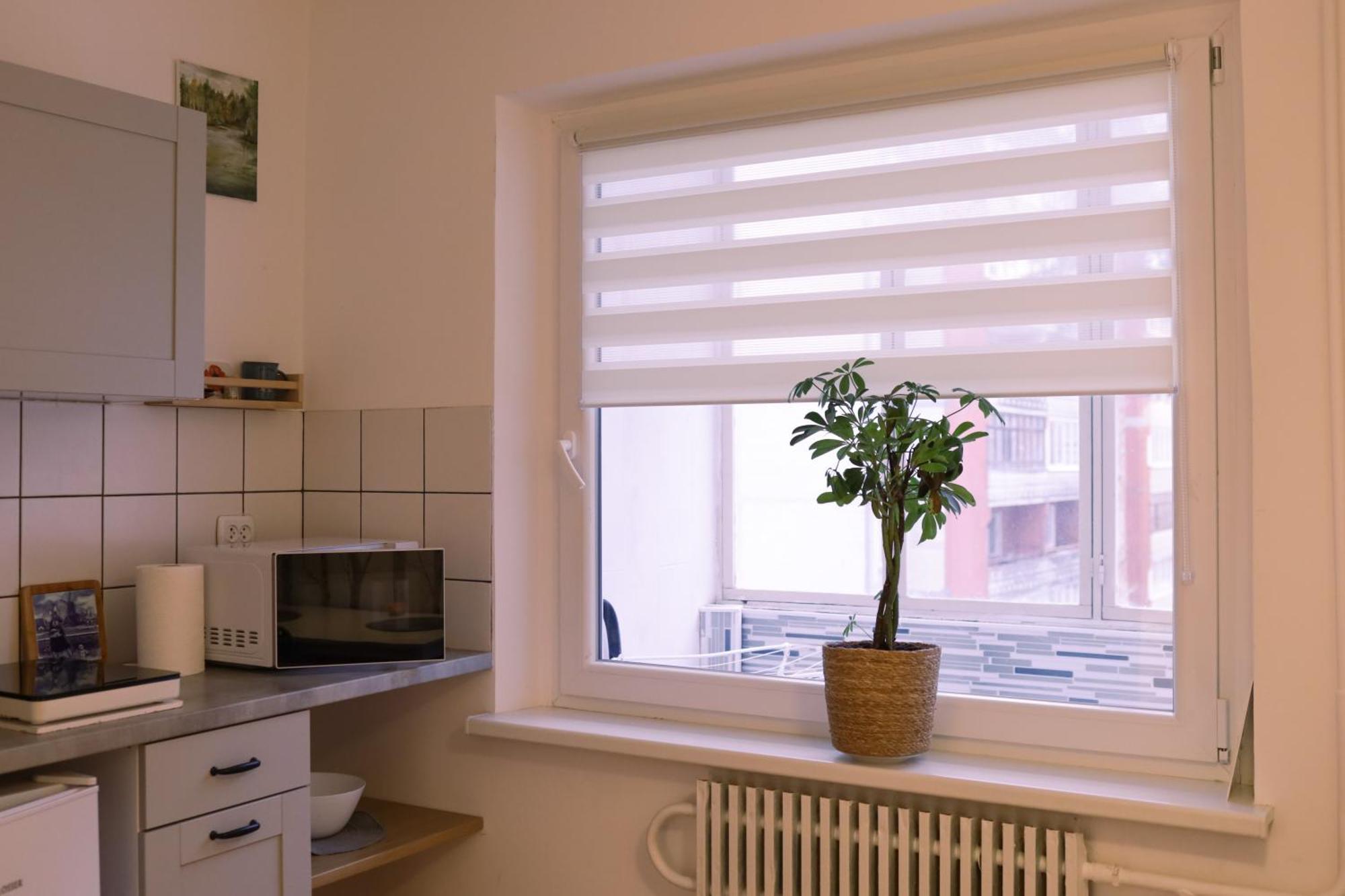 Flat White Apartment